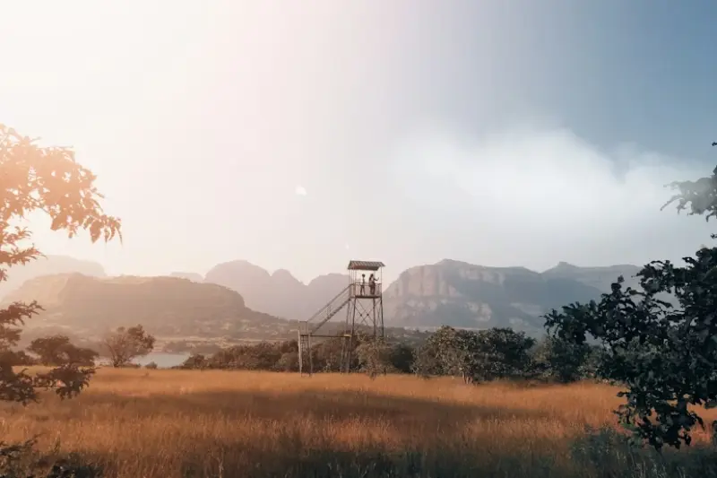 why new game releases matter